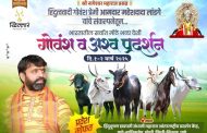 पिंपरी-चिंचवडमध्ये भारतातील सर्वात मोठे देशी गोवंश अन् अश्व प्रदर्शन