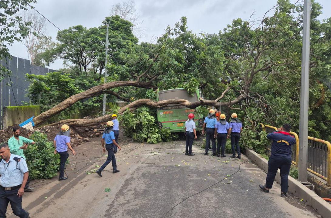 चिंचवड-आकुर्डी रस्त्यावर पीएमपीएमएल बसवर झाड कोसळले