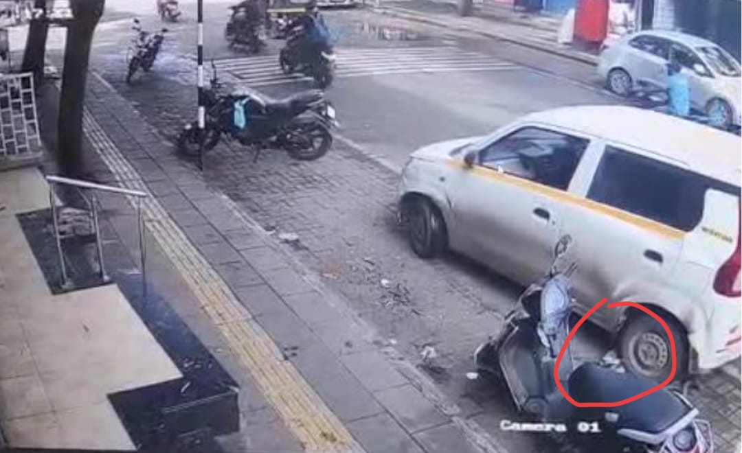 श्वानाला कारने चिरडले.. सांगवी पोलिसांत चालकाविरोधात गुन्हा दाखल