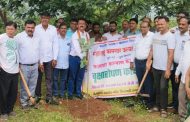 महाराष्ट्र कामगार कल्याण मंडळाच्या वतीने राजगुरुनगर तिन्हेवाडी येथे ३०० देशी वृक्षांचे रोपण