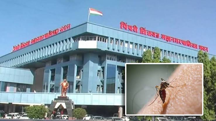 डेंग्यू रोखण्यावर महापालिकेचा भर; ६२४ नागरिक व व्यावसायिकांवर थेट दंडात्मक कारवाई, २२ लाख २४ हजारांचा दंड वसूल