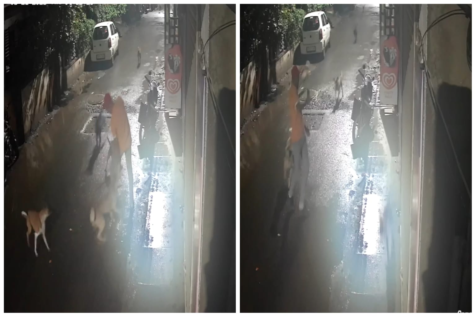 कुत्र्यांच्या टोळक्याने केलेल्या हल्ल्यात तरुण जखमी; चिखली मोरेवस्ती येथील घटना