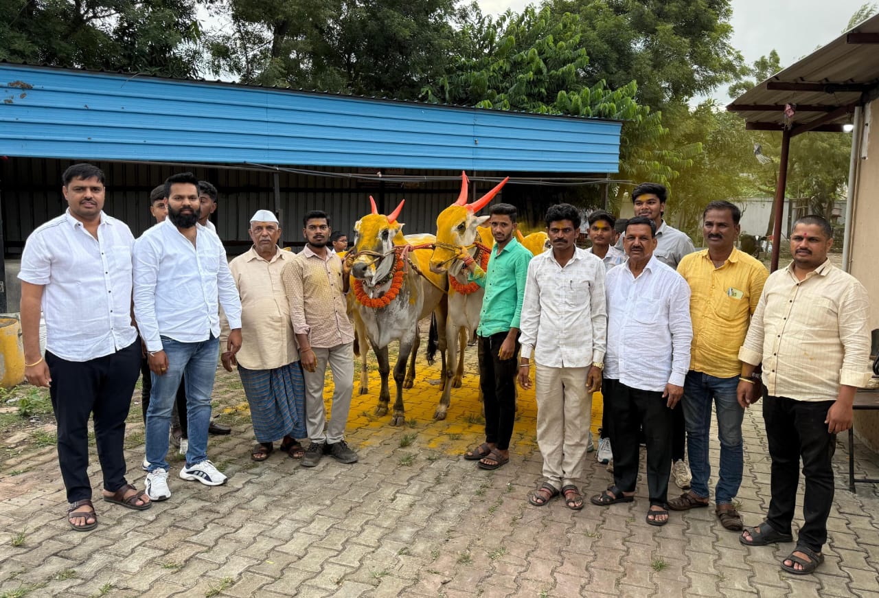 कुदळवाडीत पारंपारिक पध्दतीने बैलपोळा मोठ्या उत्साहात साजरा