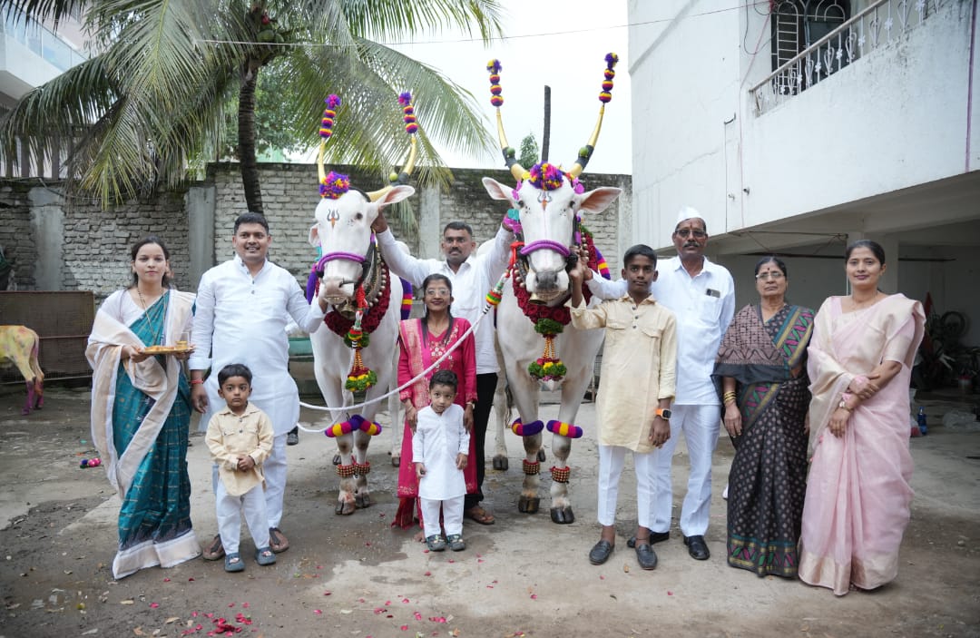 वाकडमध्ये 'लक्ष्या आणि हिरा'ची शाही मिरवणूक; बैलपोळा मोठ्या उत्साहात साजरा