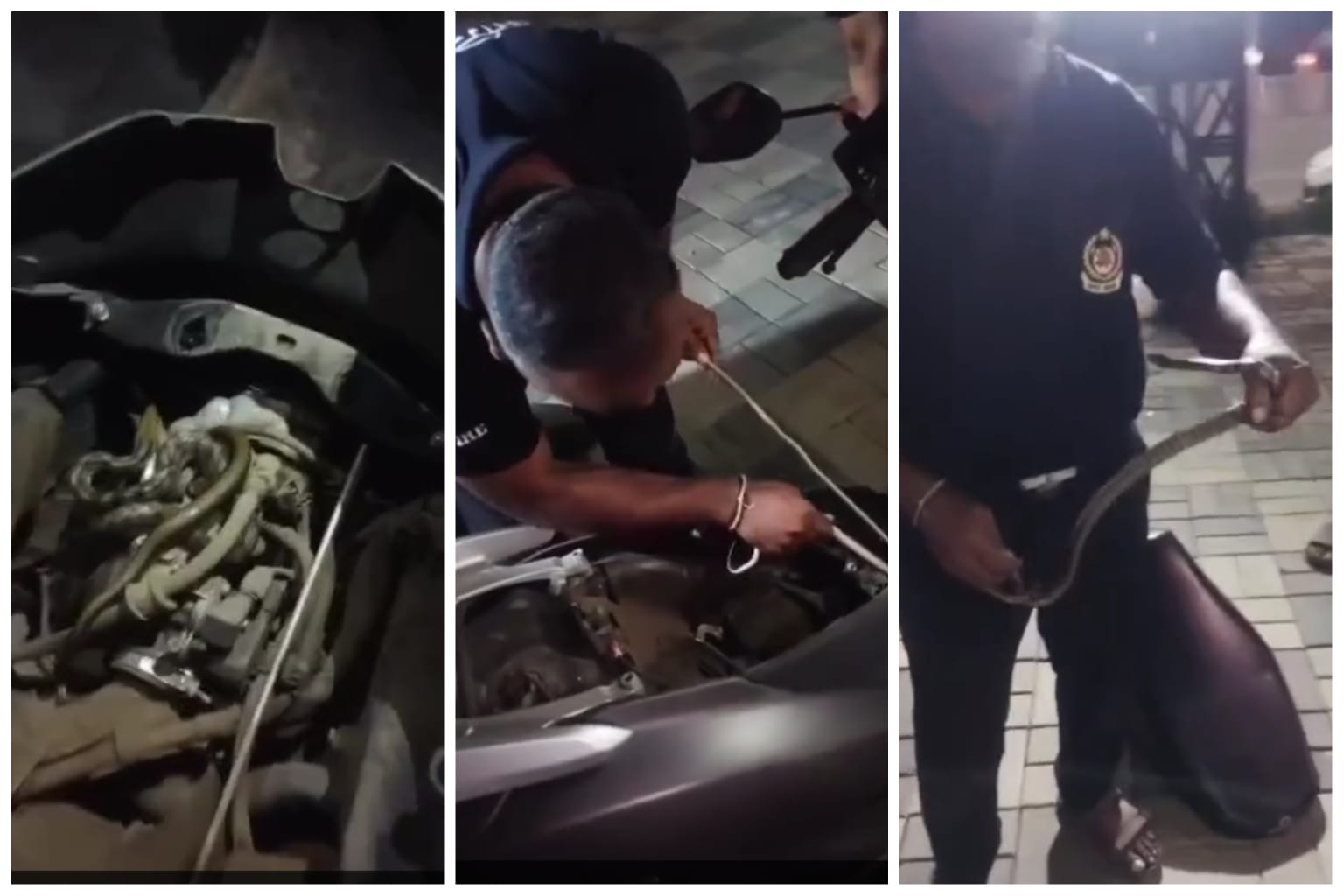 चऱ्होली येथे स्कुटीमध्ये अडकलेल्या सापाची अग्निशमन दलाच्या जवानांकडून सुखरूप सुटका