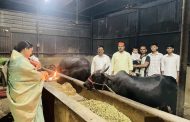 वसुबारसेला गोधनाचा सन्मान करत गोरक्षणाचा संकल्प..!