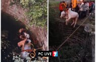 विहिरीत पडलेल्या बैलाची सुखरूप सुटका; पिंपरी चिंचवड महापालिकेच्या अग्निशमन पथकाचे कौशल्यपूर्ण रेस्क्यू!