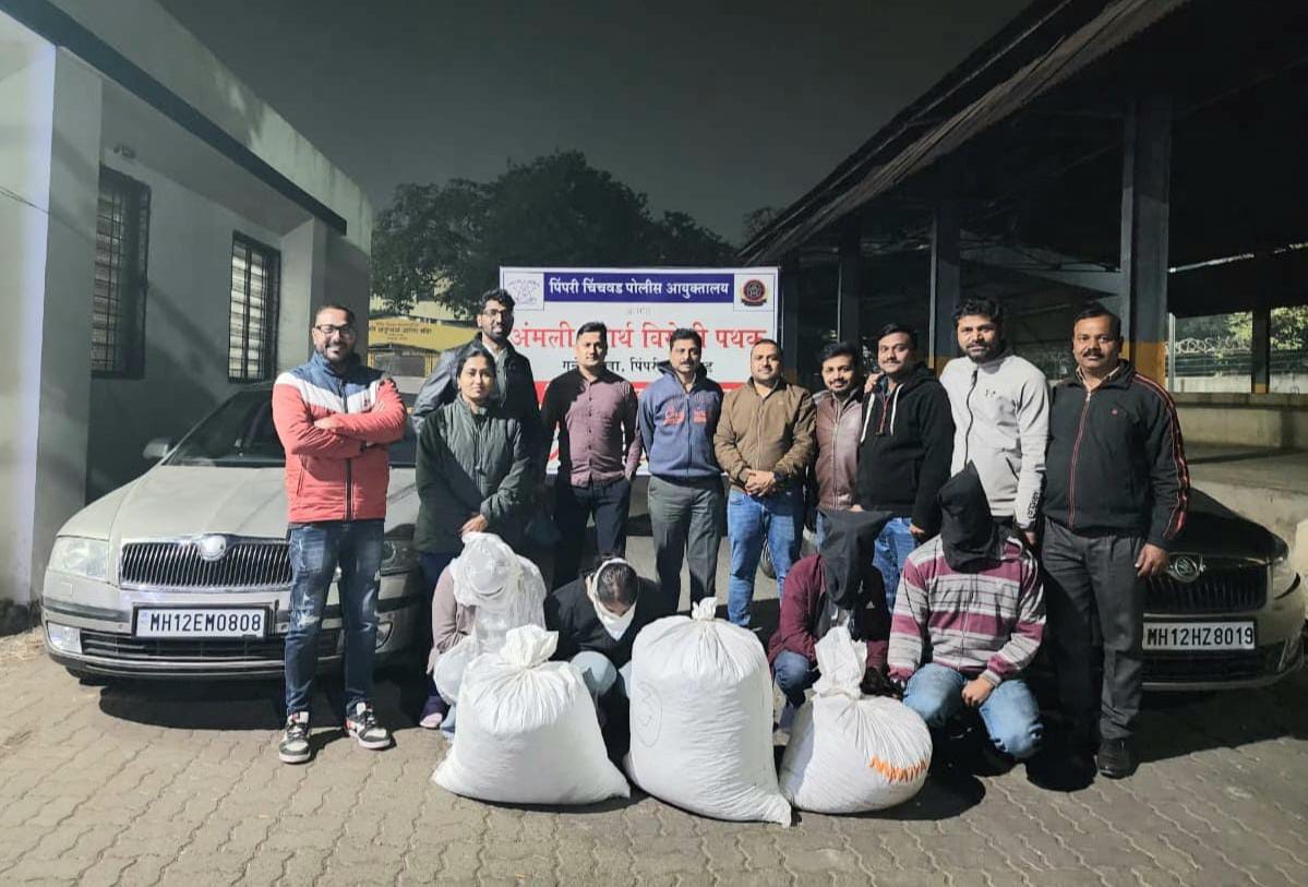 आंतरराज्य गांजा तस्करी करणाऱ्या टोळीचा पर्दाफाश; ५५ किलो गांजा व दोन स्कोडा कार जप्त