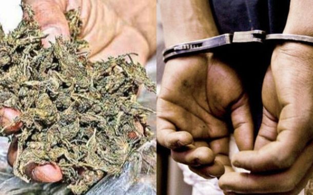 काळेवाडीत २ लाख ६५ हजार रुपये किंमतीच्या गांजासह तिघांना अटक