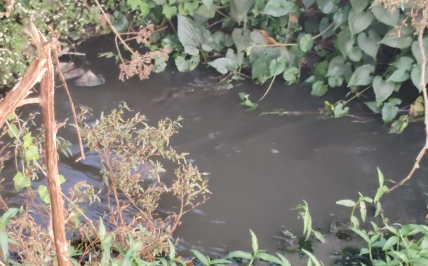 रावेत बंधाऱ्यात सांडपाणी सोडण्याचा गंभीर प्रकार; आयुक्तांनी तात्काळ पाहणी करून कठोर कारवाई करावी