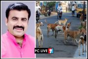 पिंपरी-चिंचवडमध्ये भटक्या कुत्र्यांचा हैदोस; नागरिकांच्या सुरक्षेचा प्रश्न ऐरणीवर