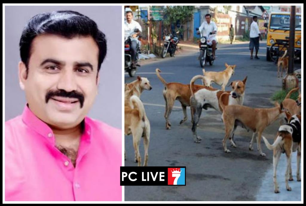 पिंपरी-चिंचवडमध्ये भटक्या कुत्र्यांचा हैदोस; नागरिकांच्या सुरक्षेचा प्रश्न ऐरणीवर