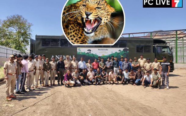 जुन्नर 'माणिकडोह' येथील २० बिबट्यांचे गुजरातमधील ‘वनतारा’ केंद्रात स्थलांतर