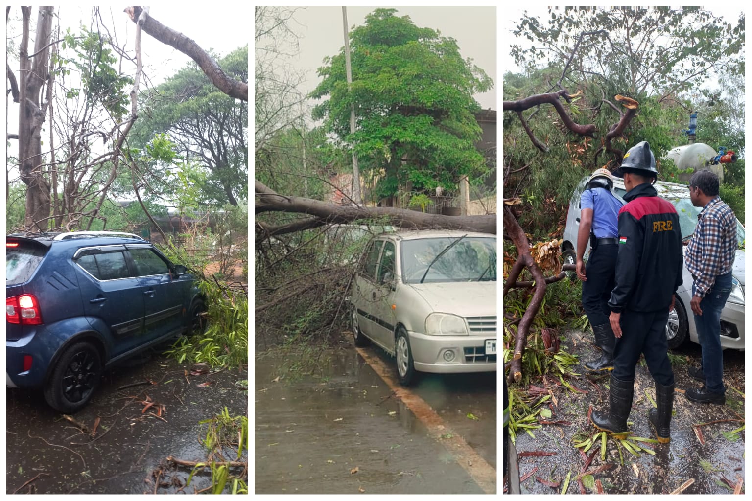 पावसाचा तडाखा; पिंपरी-चिंचवडमध्ये १७ ठिकाणी झाडपडी, अनेक वाहनांचे नुकसान