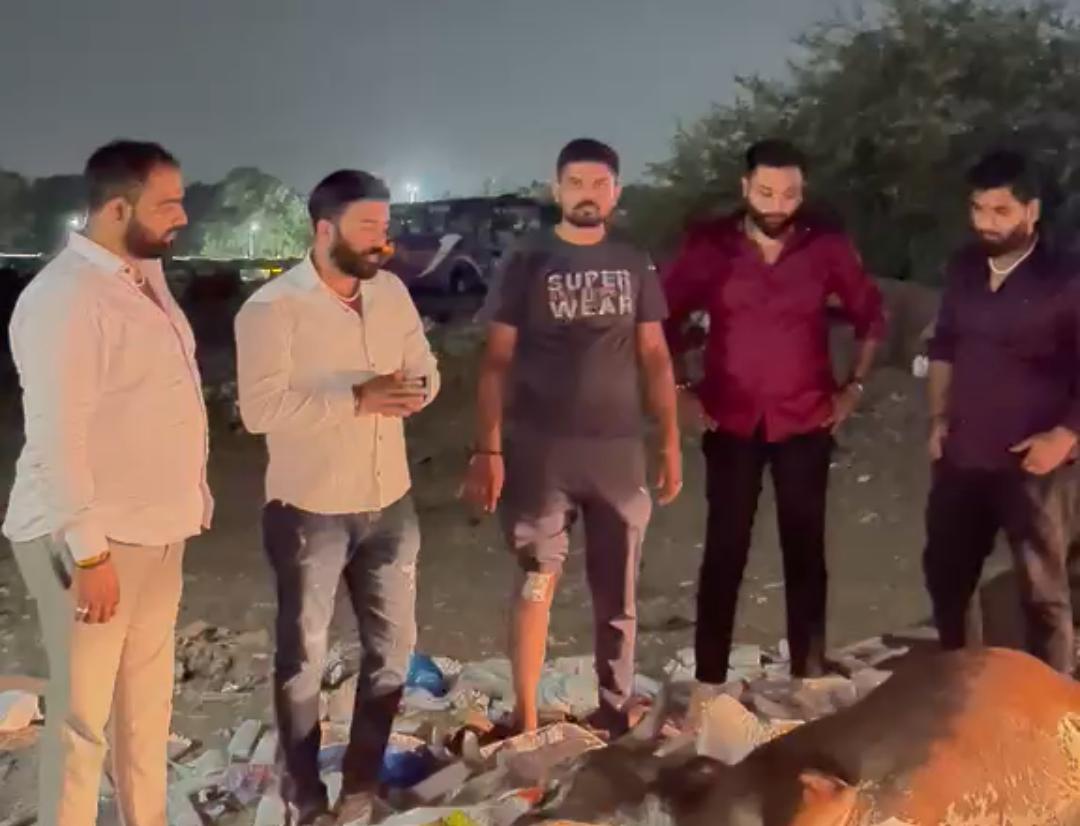 पिंपरी-चिंचवडमध्ये 'गो'तस्कर टोळी पुन्हा सक्रिय; कठोर कारवाईची मागणी