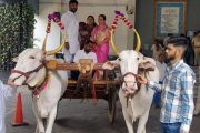 बैलगाडीतून महापालिकेत एन्ट्री; राष्ट्रवादीकडून भाजपच्या ‘उधळपट्टी’वर हल्लाबोल