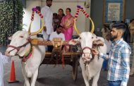इंधन दरवाढीच्या निषेधार्थ राष्ट्रवादीचे आंदोलन; नगरसेवक थेट बैलगाडी घेऊन महापालिकेत दाखल