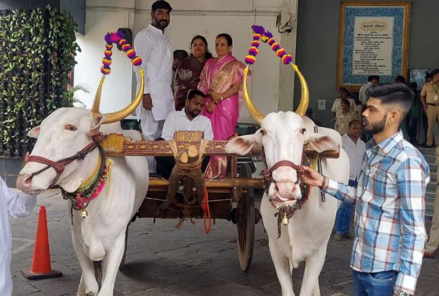 बैलगाडीतून महापालिकेत एन्ट्री; राष्ट्रवादीकडून भाजपच्या ‘उधळपट्टी’वर हल्लाबोल