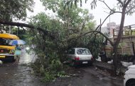वादळी पावसाचा तडाखा : वाल्हेकरवाडी, भोसरी, मोशीसह अनेक ठिकाणी झाडे कोसळली; मारुंजीतही झाड पडल्याची घटना