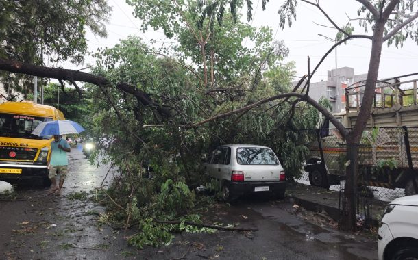 वादळी पावसाचा तडाखा : वाल्हेकरवाडी, भोसरी, मोशीसह अनेक ठिकाणी झाडे कोसळली; मारुंजीतही झाड पडल्याची घटना