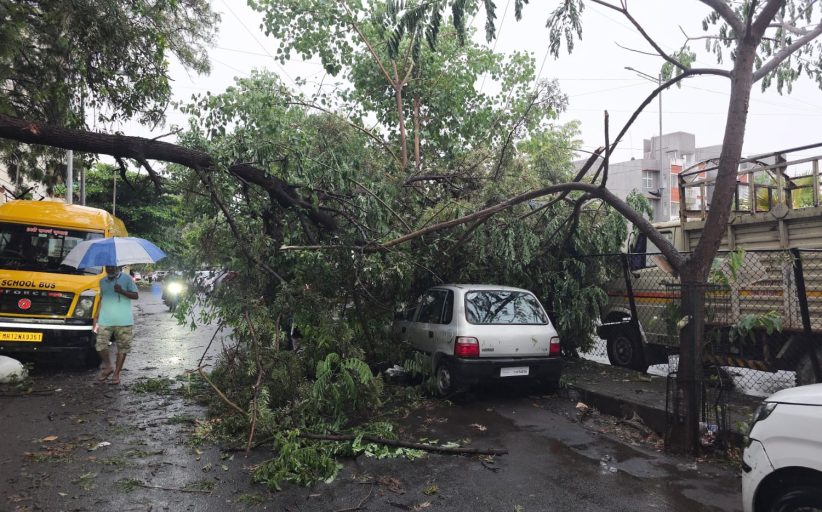 वादळी पावसाचा तडाखा : वाल्हेकरवाडी, भोसरी, मोशीसह अनेक ठिकाणी झाडे कोसळली; मारुंजीतही झाड पडल्याची घटना
