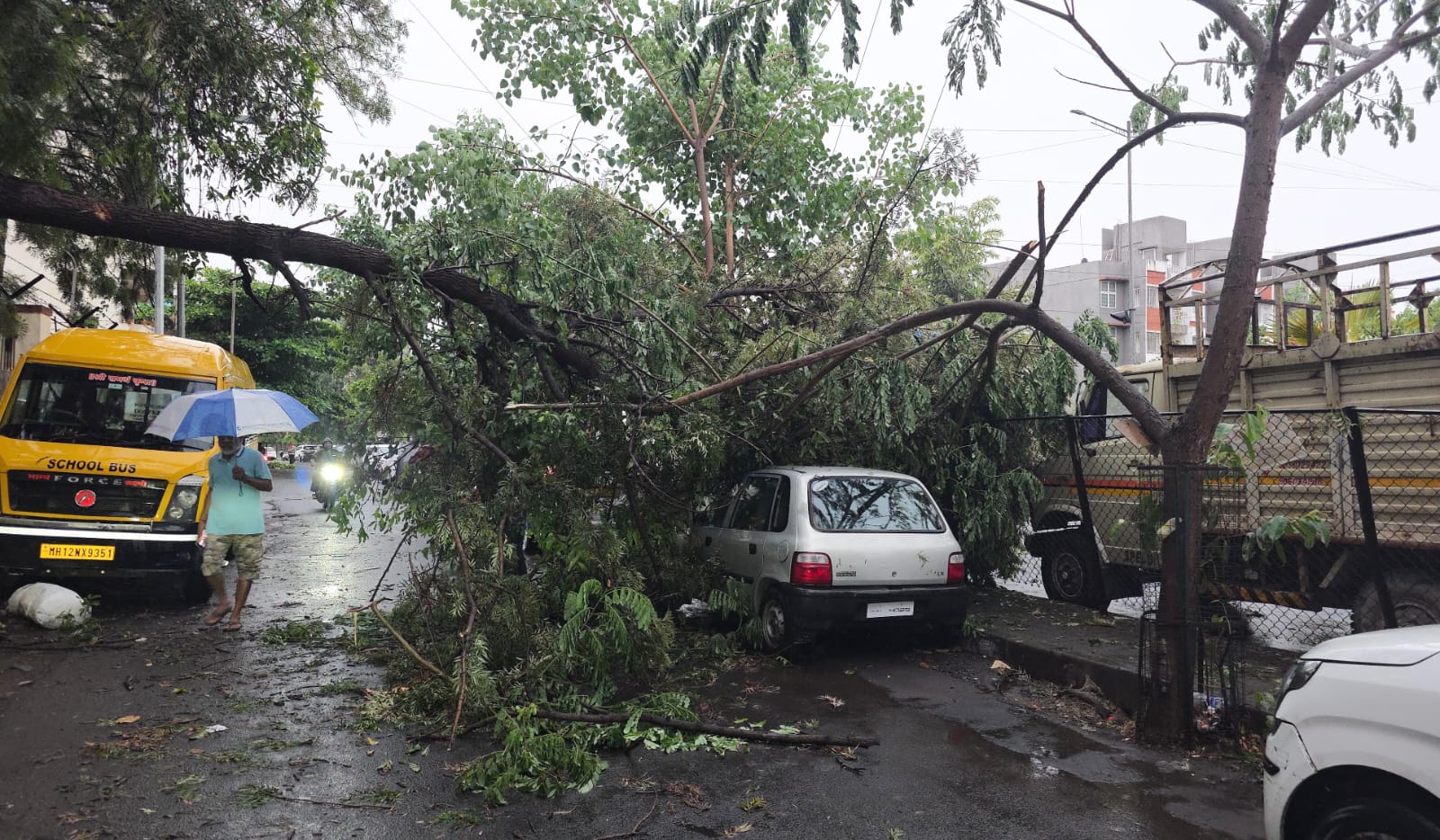 वादळी पावसाचा तडाखा : वाल्हेकरवाडी, भोसरी, मोशीसह अनेक ठिकाणी झाडे कोसळली; मारुंजीतही झाड पडल्याची घटना