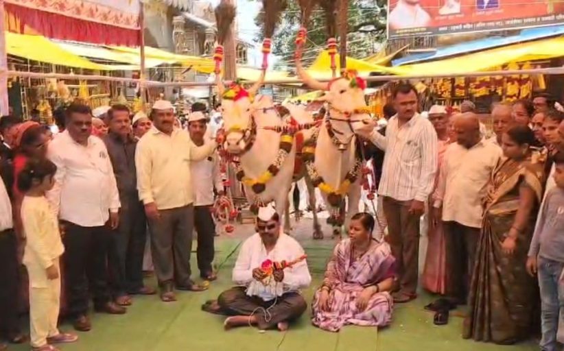 माऊलींच्या रथाच्या सारथी बैलजोडीच्या मानावरून वाद; उमेश रानवडे यांचे बैलजोडीसह बेमुदत आंदोलन