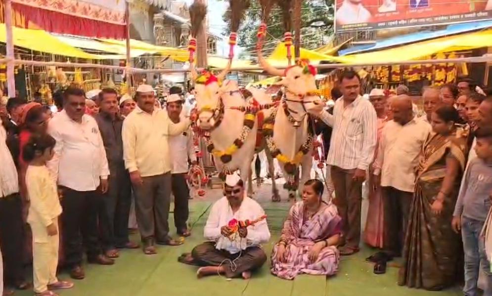 माऊलींच्या रथाच्या सारथी बैलजोडीच्या मानावरून वाद; उमेश रानवडे यांचे बैलजोडीसह बेमुदत आंदोलन