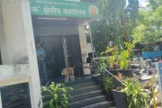 'फ' क्षेत्रीय कार्यालयाबाहेर भटक्या कुत्र्यांचा सुळसुळाट