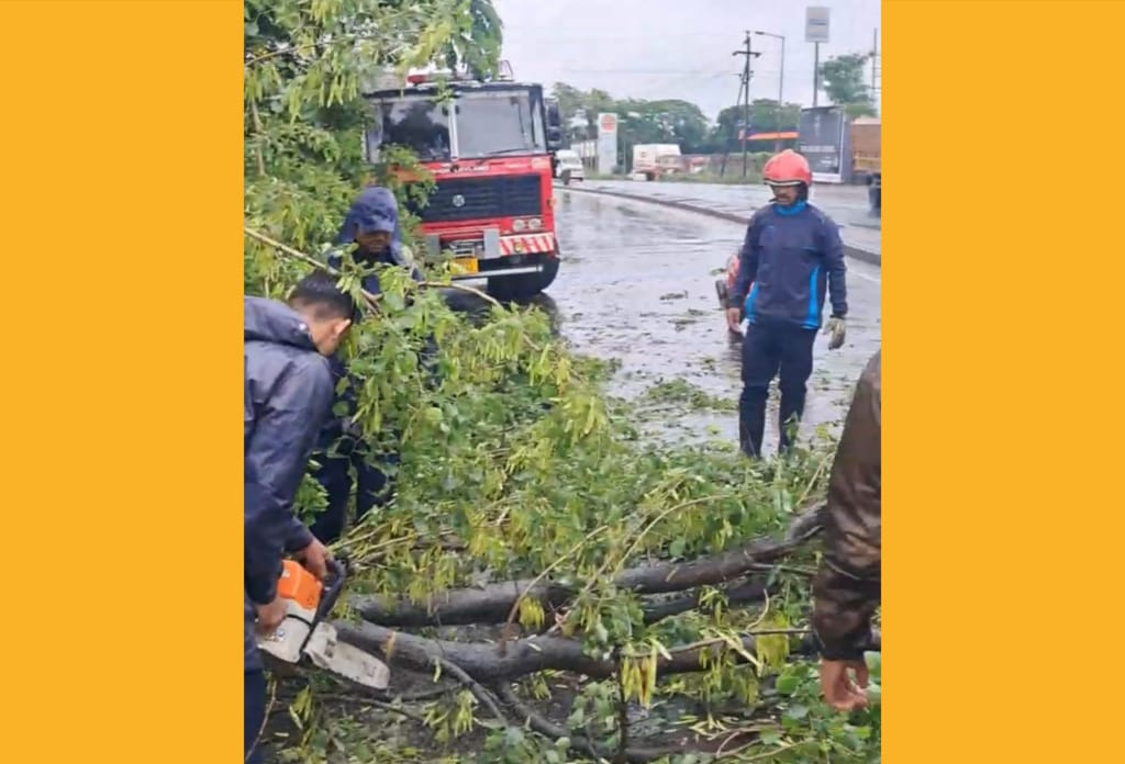 मुसळधार पावसामुळे शहरातील विविध भागांत झाडपडीच्या घटना