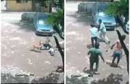 पिंपरी-चिंचवडमध्ये चिमुरडीवर भटक्या कुत्र्यांचा जीवघेणा हल्ला; घटना सीसीटीव्हीत कैद