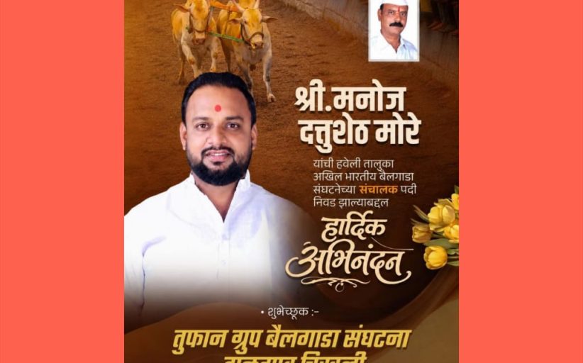हवेली तालुका अखिल भारतीय बैलगाडा संघटनेच्या संचालकपदी मनोज मोरे यांची निवड