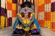 एकादशी निमित्त माऊलींच्या संजीवन समाधी मंदिरात आकर्षक पुष्पसजावट