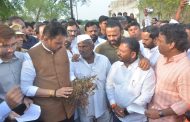 राज्यातील ३५८ पैकी २६५ तालुक्यात कोरडा दुष्काळ जाहीर; फडणवीस सरकारची घोषणा