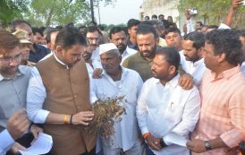 राज्यातील ३५८ पैकी २६५ तालुक्यात कोरडा दुष्काळ जाहीर; फडणवीस सरकारची घोषणा