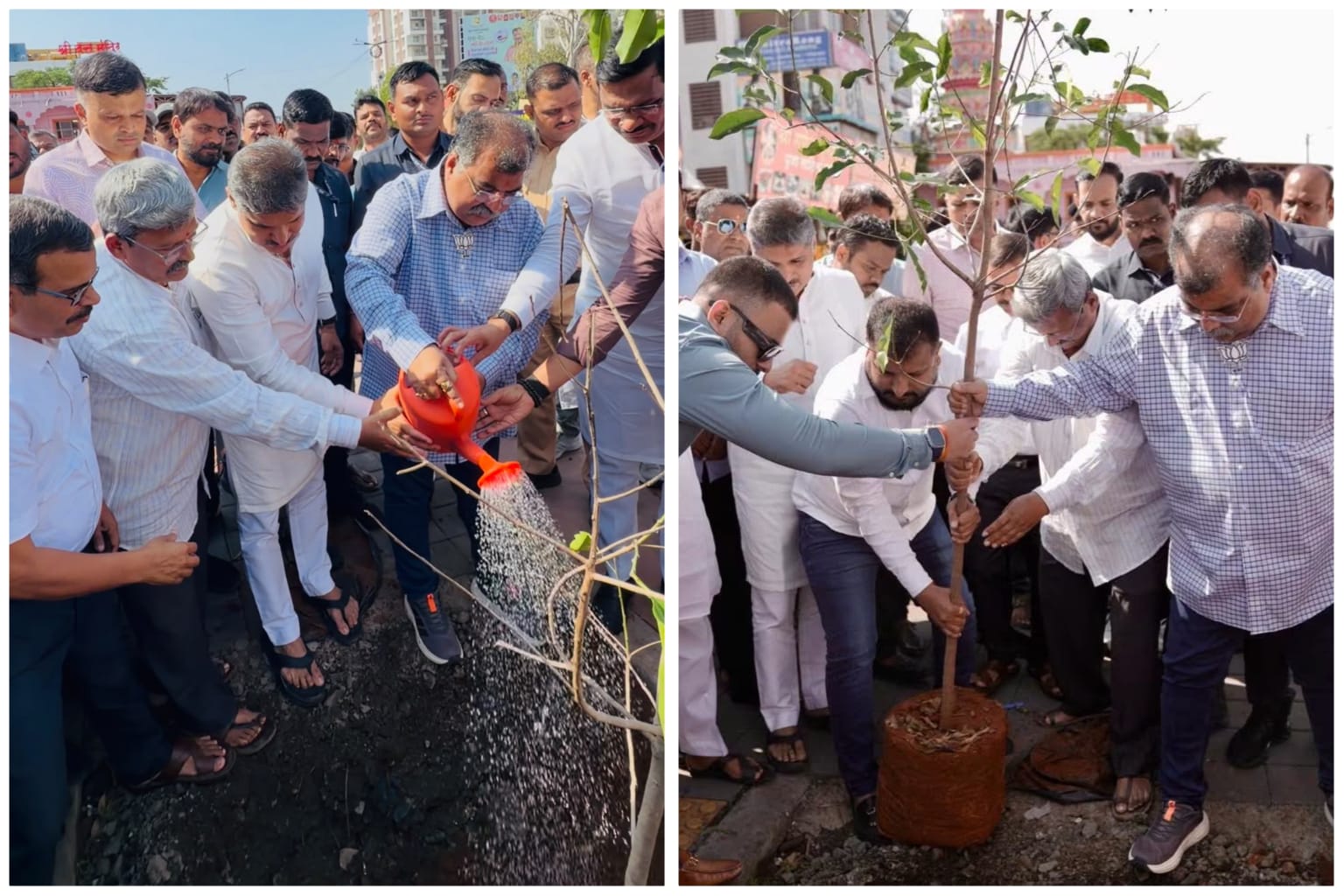 वाकडमधील दत्त मंदिर रोड होणार ‘ग्रीन‘; राहुल कलाटे फाऊंडेशनचा उपक्रम; पहिल्या टप्प्यात १०० बकुळ वृक्षांची लागवड होणार