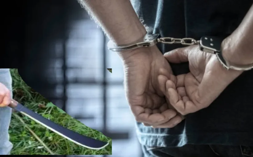 कोयत्याचा धाक दाखवून दगड डोक्यात घालून खंडणी उकळणाऱ्या दोन आरोपींना अटक
