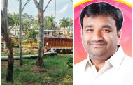 अप्पूघरात सर्रास वृक्षतोड? प्रशासनाच्या कारभारावर प्रश्नचिन्ह; राष्ट्रवादीचे नगरसेवक प्रमोद कुटे आक्रमक