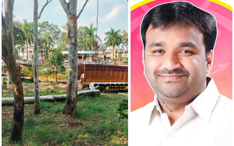 अप्पूघरात सर्रास वृक्षतोड? प्रशासनाच्या कारभारावर प्रश्नचिन्ह; राष्ट्रवादीचे नगरसेवक प्रमोद कुटे आक्रमक