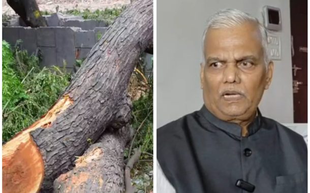 भीमाशंकरच्या जंगलात ९० हजार वृक्षांची कत्तल होणार? माहिती अधिकार कार्यकर्ते विजय कुंभार यांचा दावा